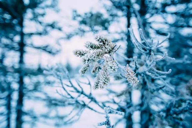 白居易晚上被冻醒,写下一首夜雪诗,短短20个字,成为咏雪绝唱
