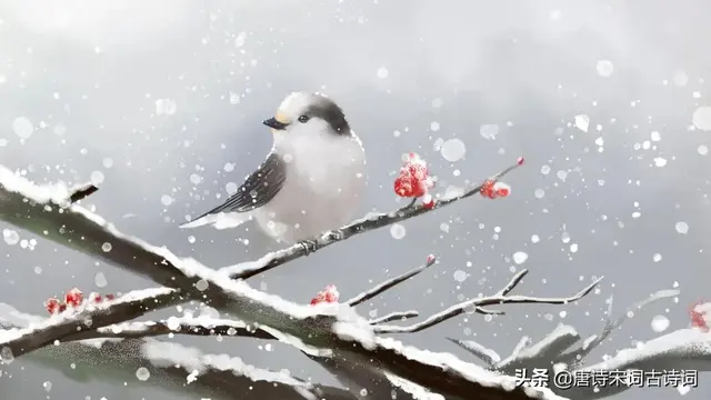 冬至节气，赏析苏轼的《冬至日独游吉祥寺》