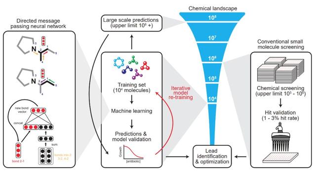 人类首次完全利用AI发现「迄今最强抗生素」,登《细胞》杂志封面