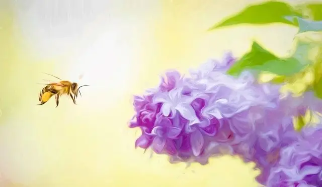 以毒攻毒!蜜蜂毒素可100%杀死癌细胞,且对正常细胞影响极小