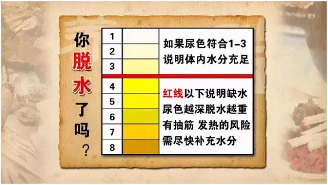 喝水是最简单的养生法，这3杯水能“救命”！可惜很多人都喝错了，尤其是第一条