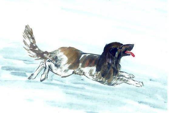 中国诗词大会第七场中蒙曼老师提到的 黄狗 是