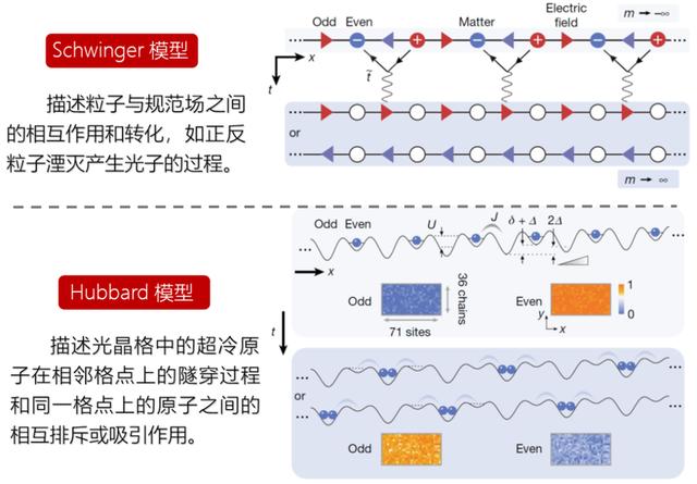 中国科大量子计算和量子模拟研究获重要突破：求解施温格方程