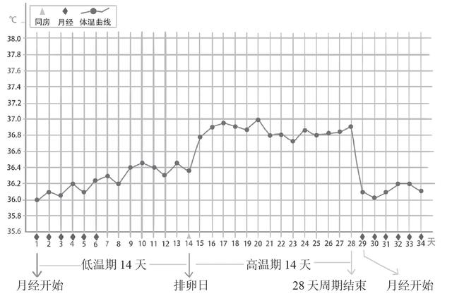 关于月经频发 这5个问题你都明确了吗