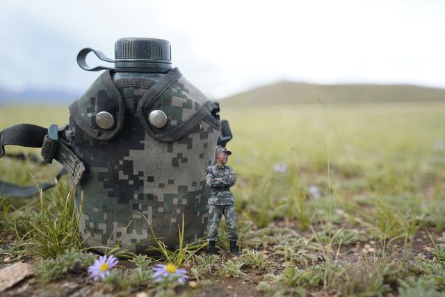 高原兵哥哥创意照，请您帮忙打个分