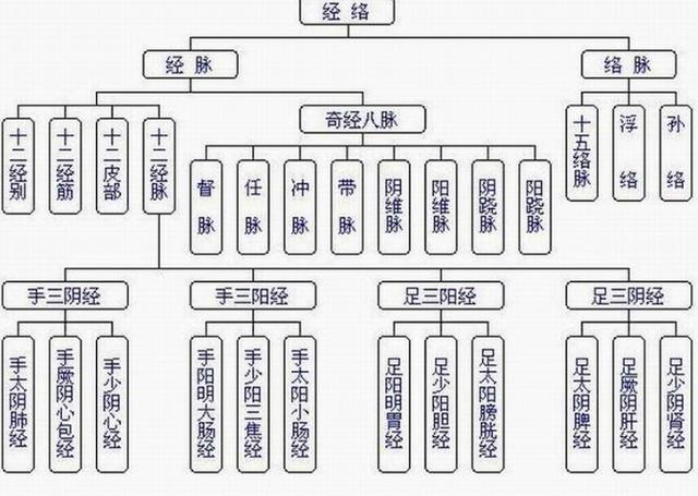 经络系统是由经脉,络脉,十二经筋,十二皮部所组成的.