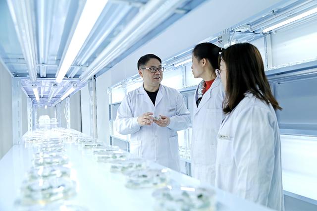 全力打造中国蔬菜种业硅谷