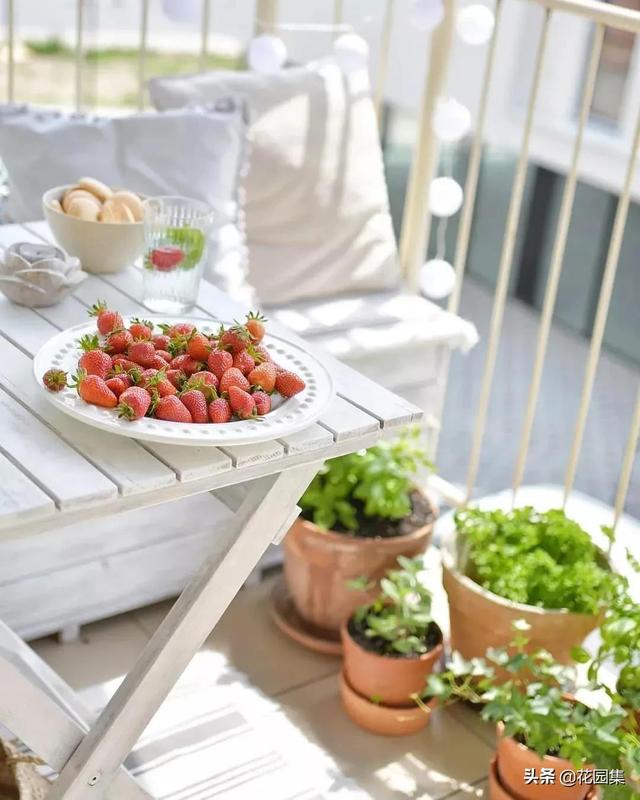 没有院子 那就造一个阳台花园吧 奉上打造全攻略