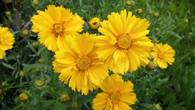 乳腺癌姐妹们，别认为你就是世上最倒霉的那一个，真的不是