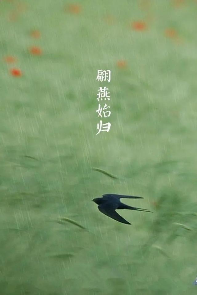 千年宋词，最美在春天