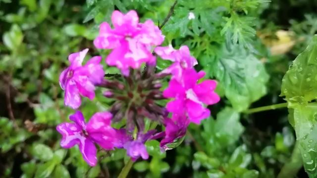 乳腺癌姐妹们，别认为你就是世上最倒霉的那一个，真的不是